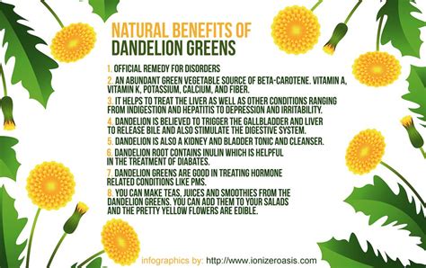 Health Benefits of Dandelion Greens http://www.ionizeroasis.com ...