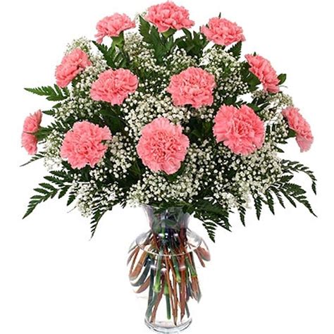 Vase Carnation Arrangement Main Street Floral & Gifts - Florist in ...