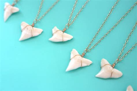 Genuine Shark Tooth Necklace, Gold Shark Tooth Jewelry, Real Shark Tooth Pendant, Delicate Gold ...