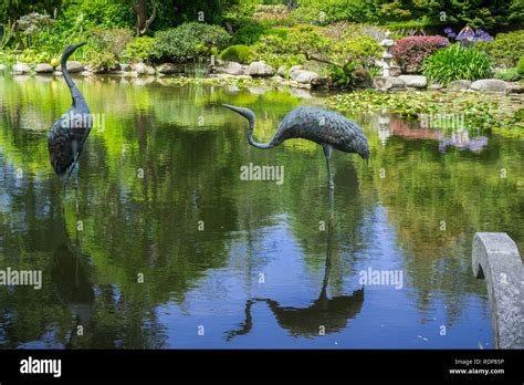 Man made pond surrounded by lush vegetation, Shore Acres State Park Botanical Garden, Oregon ...