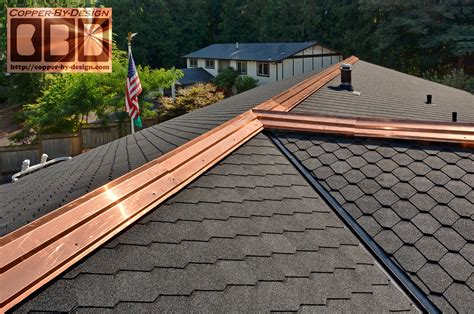 copper roof strips - 12.300 About Roof