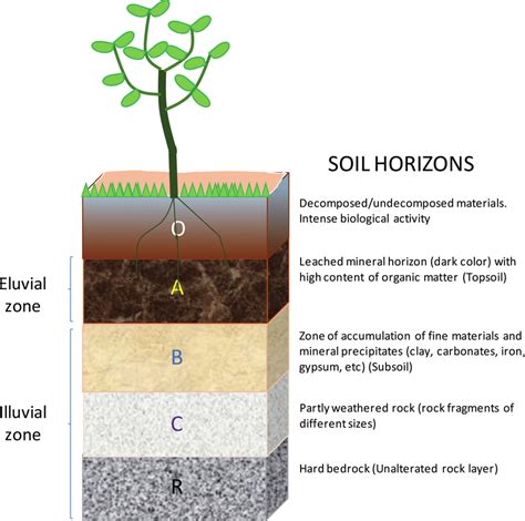 Schematic drawing of the soil profile. | Download Scientific Diagram