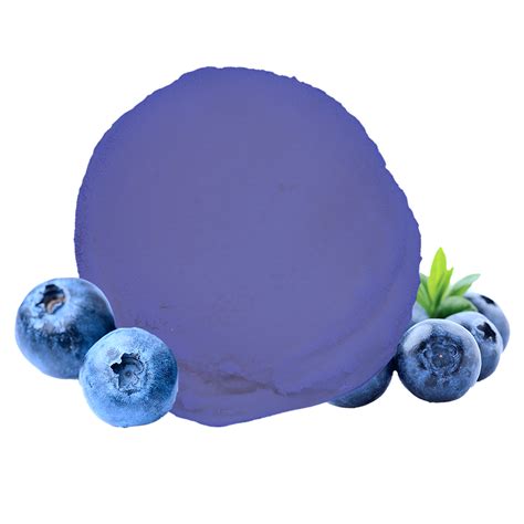 Blueberry Premium Sorbet - Kosher Ice Cream