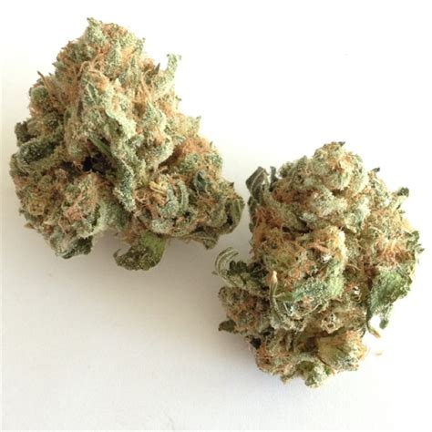 White Widow London Cannabis Strain - UK Weed Depot