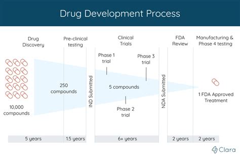 Drug Development Process Flowchart