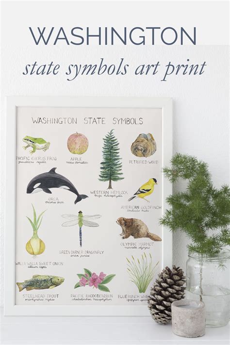 Washington State Symbols Art Print | Pacific northwest art, Large art prints, Nature art prints