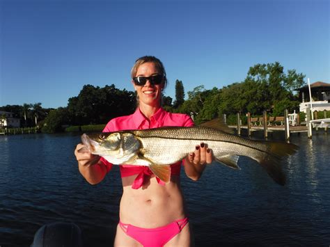 Summer snook fishing in Sarasota! – Siesta Key Fishing Charters