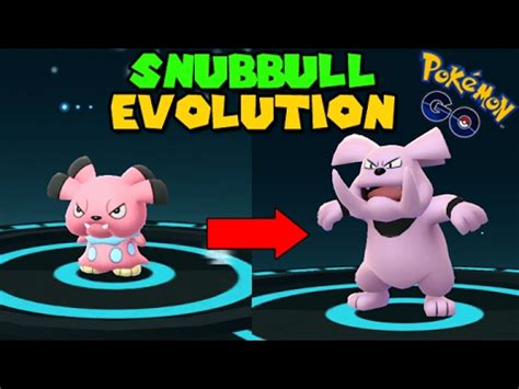 Evolving SNUBBULL to GRANBULL (Pokemon Go GEN 2 Evolution) - YouTube