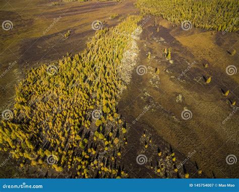Aerial View of Forest in the Far East, Russia Stock Image - Image of earth, location: 145754007
