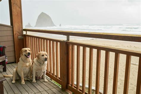 Best Pet-Friendly Hotels in Cannon Beach! - Girl Who Travels the World