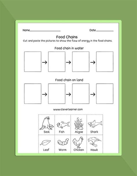 Food Chain Free Printables For Second Grade