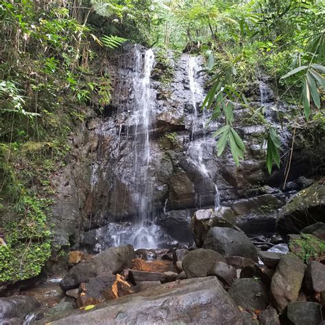 Princess Waterfall @ Sinharaja Forest Reserve by res2000 on DeviantArt