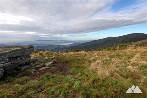 Roan Mountain: hiking the Appalachian Trail to Grassy Ridge