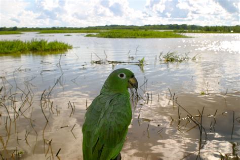 Iquitos, Las Amazonas, Peru | Iquitos, Perú, Amazonas