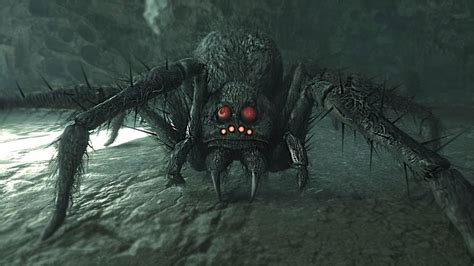 Hogwarts Legacy introduces an Arachnophobia Mode in latest update - The ...