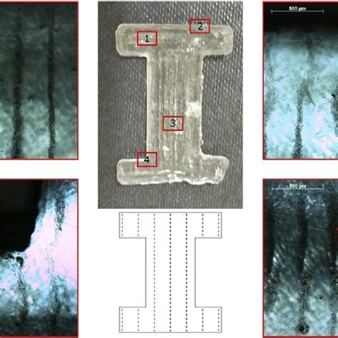 Optical microscopy images ( 1 ) – ( 4 ) of various sections of a ...