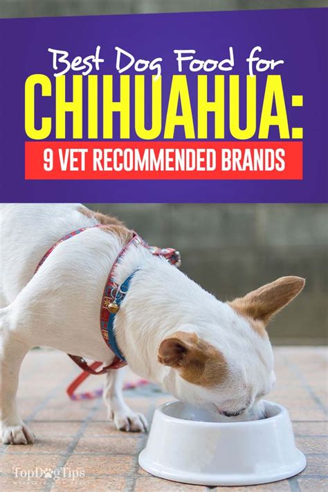 Best Dog Food for Chihuahua in 2020: Top 9 Vet Recommended Brands