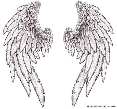 realistic angel wings drawing - Clip Art Library