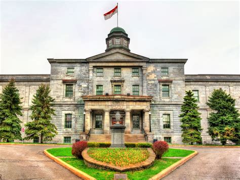 You Know You’re A McGill Student When… | LiveMtl.ca