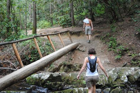 Perfect Timing: Adventure on Abrams Falls Trail