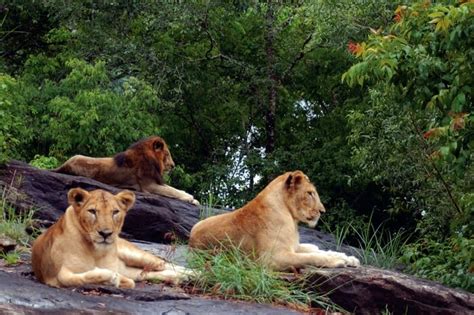 20 Best Wildlife Sanctuaries In Kerala