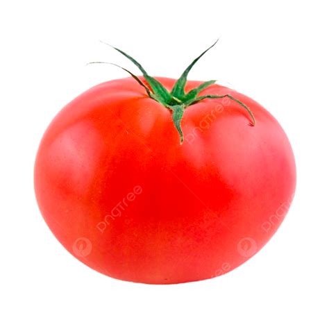 Tomato Plant Fresh Vegetables, Tomato, Plant, Fresh PNG Transparent ...