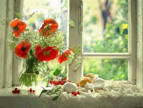 Pin by Gordana K. on Flowers | Pretty flowers, Flowers, Flower arrangements