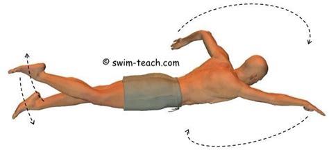 Front Crawl Timing of Arms, Legs and Breathing. What works for you?