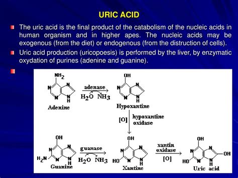 PPT - CLINICAL BIOCHEMISTRY 3 PowerPoint Presentation, free download - ID:605558