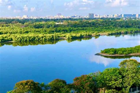 Years of collective efforts pay off as Chennai’s Adyar river comes back to life