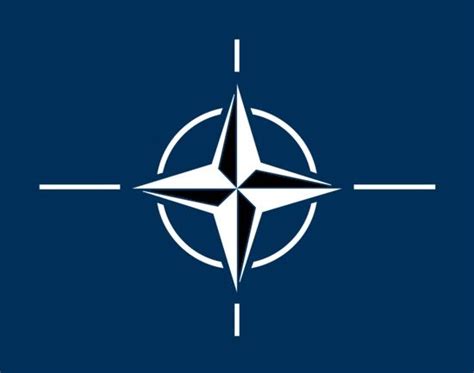 NATO logo | Cyber warfare, World flag, Cyber attack