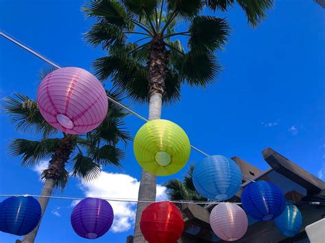 Free stock photo of blue sky, chinese lanterns, palm trees