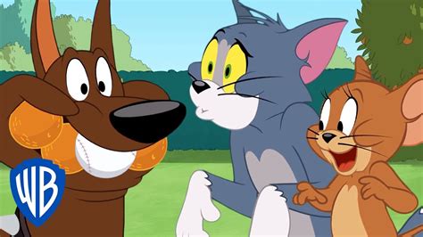 Tom & Jerry | Save the Ball! | WB Kids - YouTube