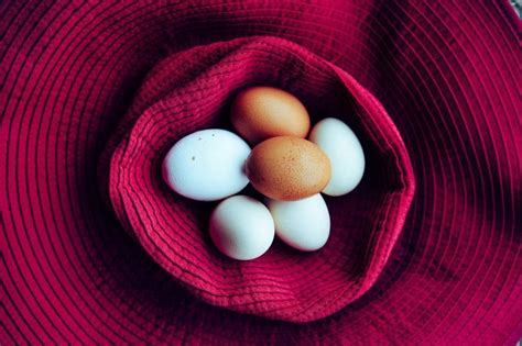 Should You Eat Brown Eggs or White Eggs? - Daily Healthy Body