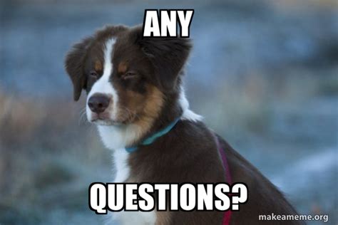 any questions? - Unsure Dog | Make a Meme