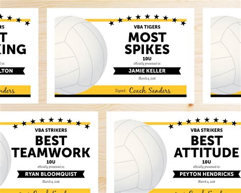 Editable Volleyball Award Certificates INSTANT DOWNLOAD | Etsy