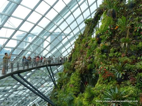 Gardens by the Bay – Cloud Forest – Vivi’s Random Ramblings