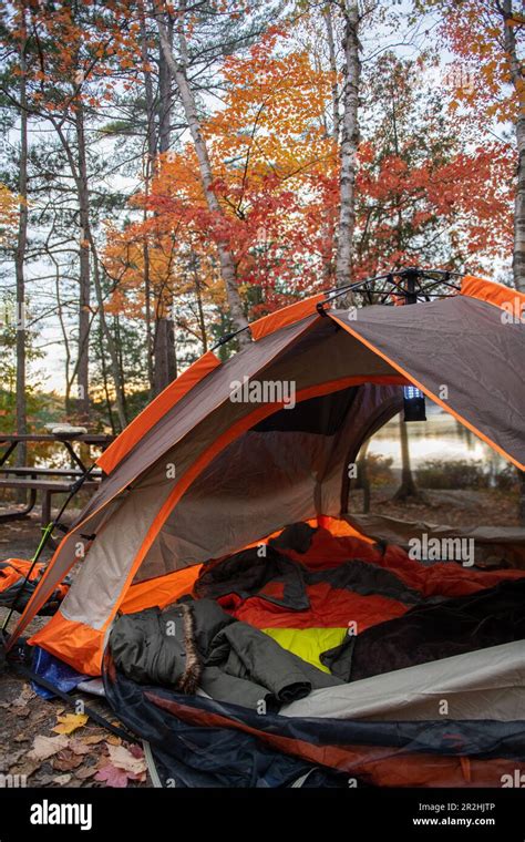 Inside of a camping tent with beautiful and bright fall foliage Stock Photo - Alamy