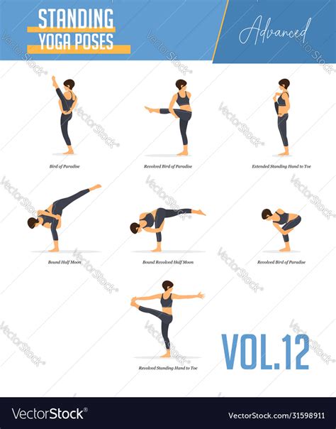 Yoga poses for balancing and standing Royalty Free Vector