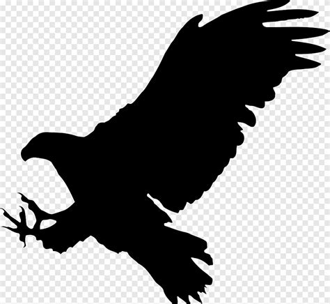 Free download | Bald Eagle Bird Silhouette, Hawk, animals, monochrome png | PNGEgg