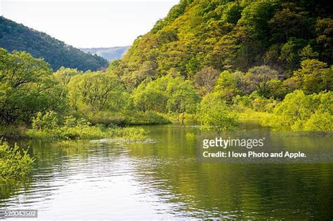 287 Lake Hibara Stock Photos, High-Res Pictures, and Images - Getty Images