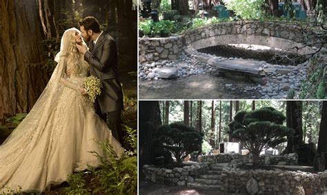 Sean Parker wedding: Revealed: The pictures of Sean Parker's magical ...