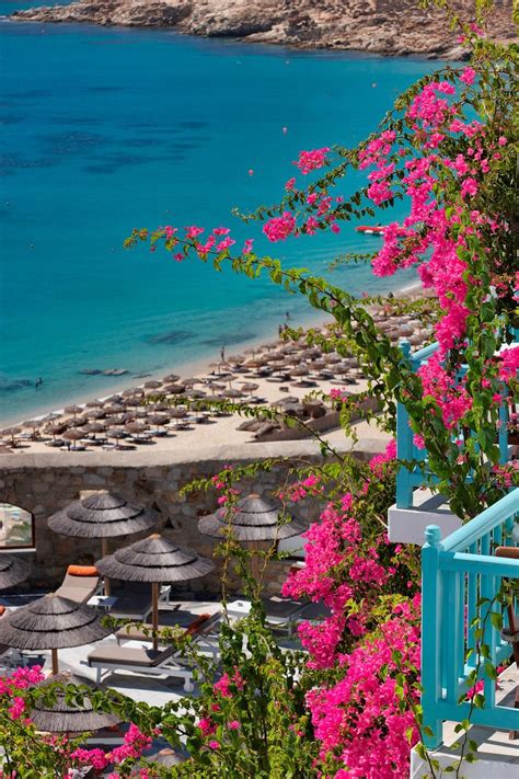 ღღ I Love the COLORS of Greece... Aqua and the hot pink of the Bougainvillea ;-)) ~~~ Elia Beach ...