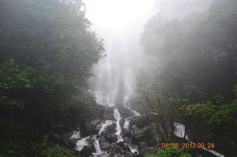 Amboli Water Falls - 2020 All You Need to Know BEFORE You Go (with Photos) - Tripadvisor