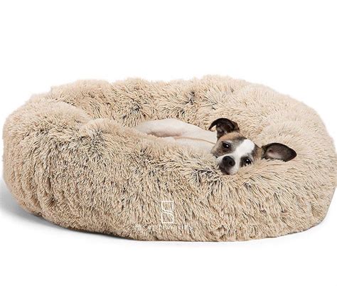 Chihuahua Beds - Chiwawa Dog