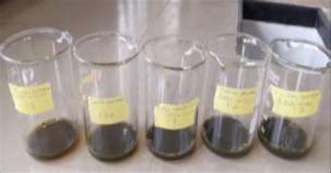 Shows copper nanoparticles synthesized at different ratios. 1:0; 1:04 ...