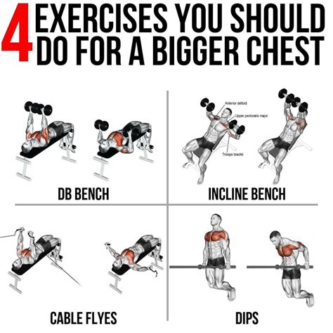 4 Exercises For Bigger Chest | Chest workout for mass, Chest workout ...