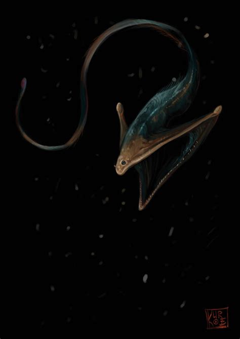 Gulper Eel by Albeb on DeviantArt