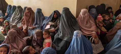 Experts decry measures to ‘steadily erase’ Afghan women and girls from ...