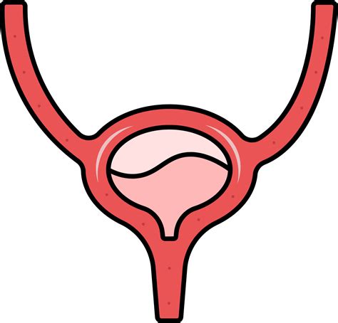 Red Illustration Of Bladder Anatomy Flat Icon. 24157070 Vector Art at ...